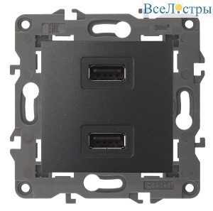 Розетка USB Эра 14-4110-05 Б0034373