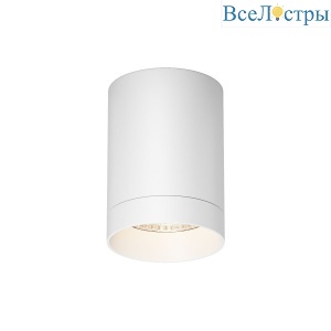 Уличный потолочный светильник Maytoni Luxe O500CL-L10W3K