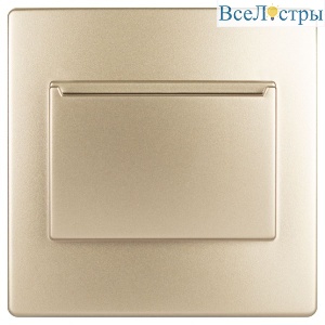 Накладка на карточный выключатель Эра 12-6201-04 Б0043203