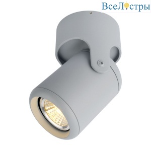 Спот Arte Lamp A3316PL-1GY
