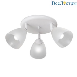 Спот Vitaluce V4355-0/3PL