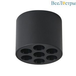 Потолочный светильник Lightstar Guarda 080647