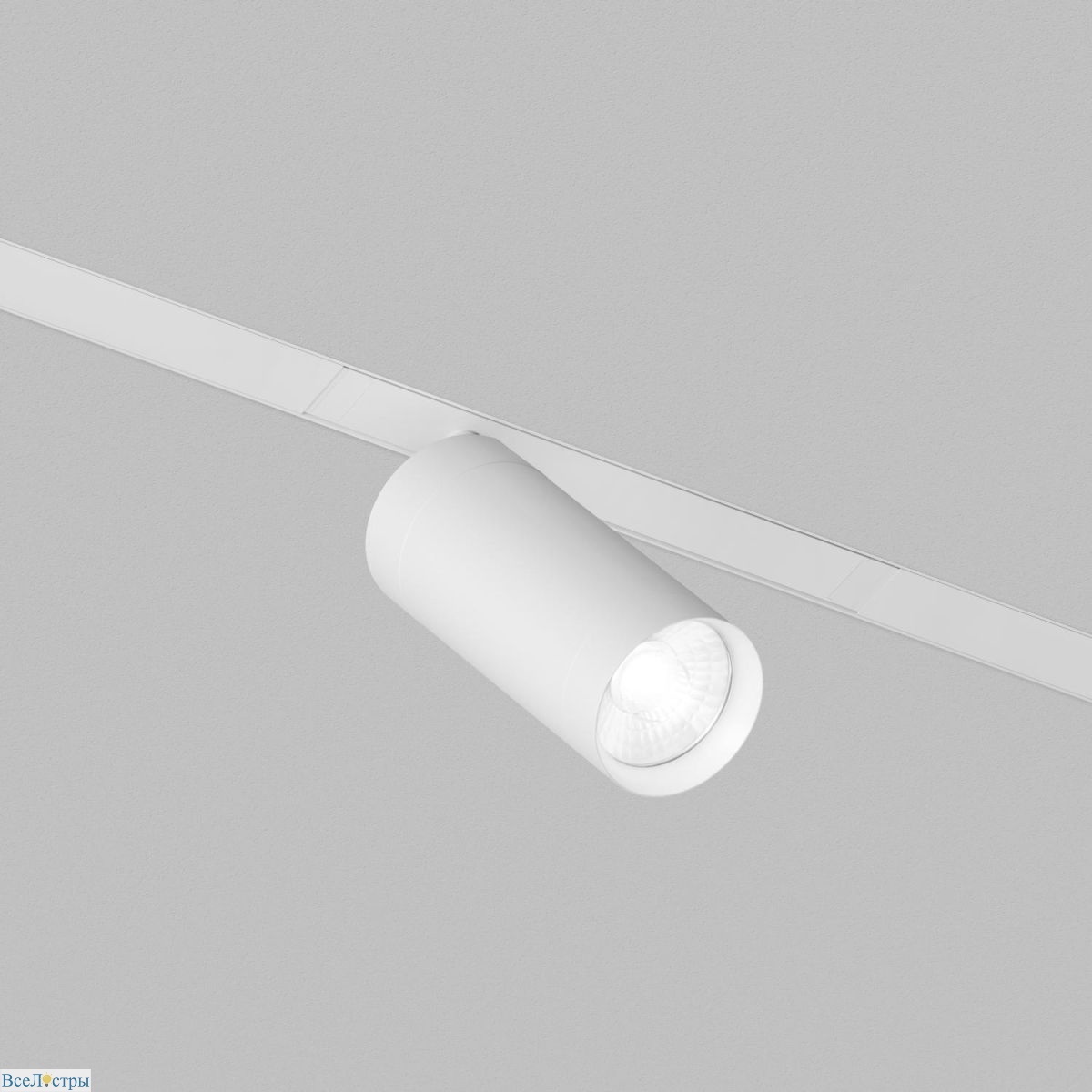 трековый однофазный светильник denkirs simple spot dk8220-wh