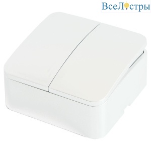 Выключатель двухклавишный Stekker белый MSW10-20-01 49289