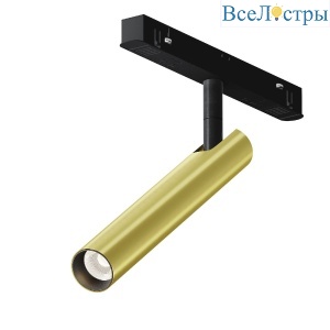 Трековый магнитный светильник Maytoni Focus T TR141-2-6W3K-M-BS