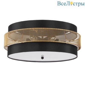 Потолочный светильник Lumion Animaisa 8003/6C