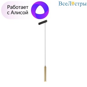 Трековый светодиодный светильник Denkirs Smart Spot DK8008-BG