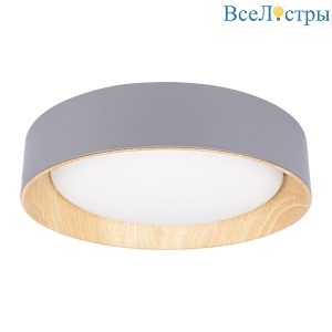 Потолочный светодиодный светильник Loft IT Coin 10202 Grey