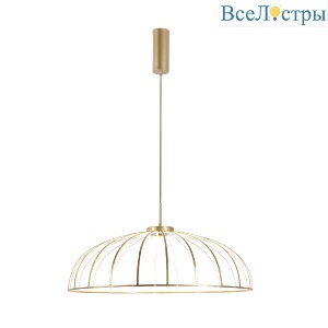 Подвесная люстра Favourite Vertex 4286-8P