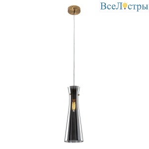 Подвесной светильник Modemodern MD.1175.1 SM