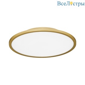 Потолочный светильник Evoluce Тассен SLE1811-202-01