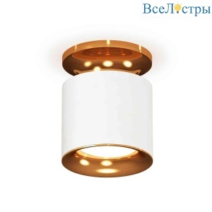 Комплект накладного светильника Ambrella light Techno Spot XS7401122 SWH/PYG белый песок/золото желтое полированное (N7929, C7401, N7014)