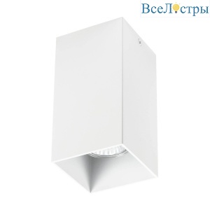 Накладной светильник Lightstar Rullo 216586