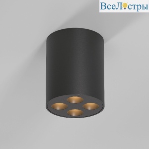 Накладной светильник Elektrostandard Points 25111/LED 4690389207839 a067484