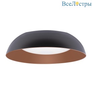 Потолочный светодиодный светильник Loft IT Cappello 10229 Black