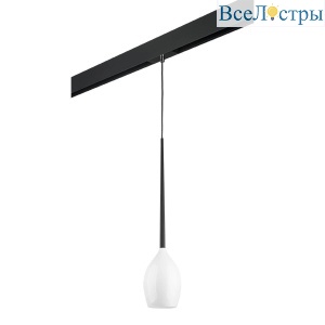 Трековый светильник Lightstar Meta duovo (807110+595007) PRO807110