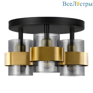 Потолочная люстра Lussole Mitchel LSP-8996