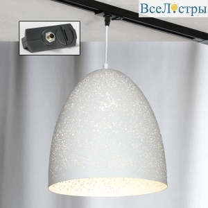 Трековый светильник однофазный Lussole LOFT Port chester Track Lights LSP-9891-TAB