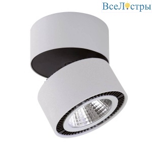 Светильник на штанге Lightstar Forte Muro LED 213830