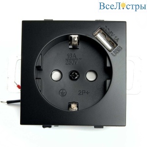 Розетка 2P+PE Stekker Эрна с USB черный PST16-9111-03 49155