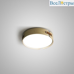 Потолочный светильник ImperiumLoft Range 195541-26