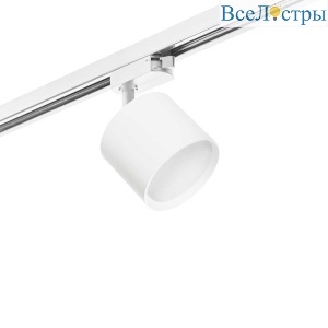 Трековый светильник Lightstar Rullo (213486+592086) R1T3486