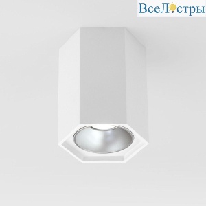 Потолочный светодиодный светильник Elektrostandard 25036/Led 4690389176487