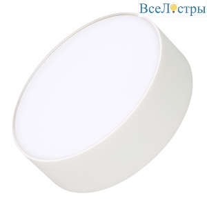 Потолочный светильник Arlight IM-RONDO-EMERGENCY-3H-R175-19W Warm3000 (WH, 120 deg, 230V) 041052