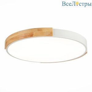 Потолочный светильник Evoluce Delia SLE201352-01