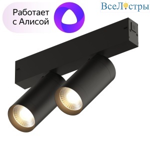 Трековый светодиодный светильник Denkirs Smart Spot DK8012-BK