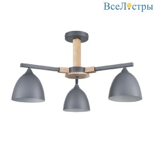 Люстра на штанге Lumion Colange 8096/3C