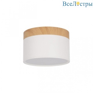 Накладной светодиодный светильник Loft IT Grape 10162 White