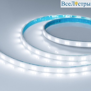 Светодиодная лента герметичная Arlight XRT-TPU-A80-12mm 24V White6000 (10 W/m, IP67, 5m) (CRI>90) 055552