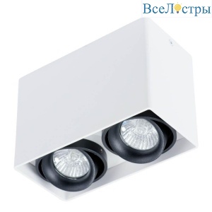 Потолочный светильник Arte Lamp Pictor A5655PL-2WH