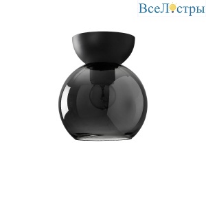 Потолочный светильник iLamp Mono C6079-1 BK+SM