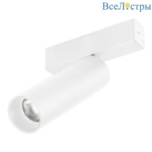 Трековый магнитный светильник Arlight MAG-SPOT-25-R120-12W Warm3000 050078