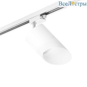 Трековый светильник Lightstar Rullo (213486+592086+201486) R1T348686