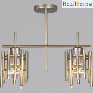 Потолочный светильник Reluce 01508-0.3-02 PG