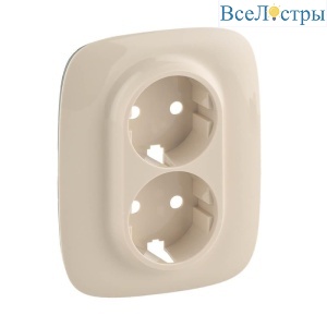 Лицевая панель Legrand Valena Allure розетки с/з слоновая кость 754956