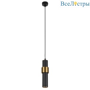 Подвесной светильник Arte Lamp Ran A3144SP-1BK
