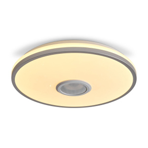 Потолочный светильник Freya Rond FR6226CL-L36W