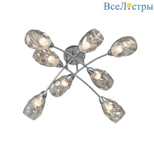 Потолочная люстра Vitaluce V4925-9/8PL