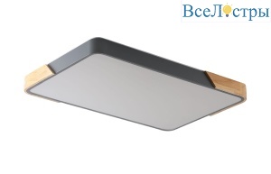 Потолочный светильник Zortes Alberro ZRS.01277.60