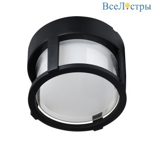 Уличный потолочный светильник Arte Lamp Ulysses A6206PF-1BK
