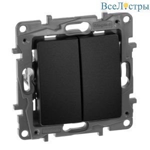 Выключатель двухклавишный Legrand Etika 10A 250V антрацит 672602