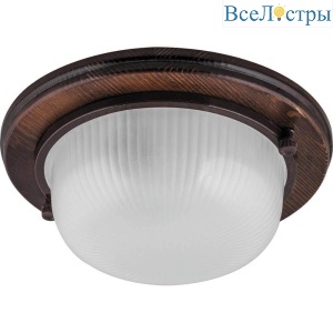 Настенно-потолочный светильник Feron НБО 0360021 11573
