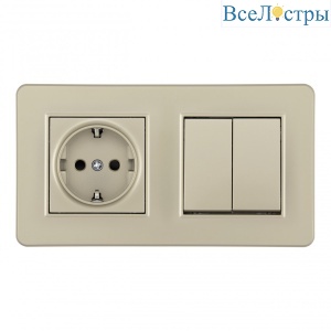 Выключатель двухклавишный с розеткой Arte Milano SET16-2-40-1-30-2 shampan