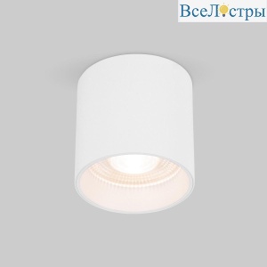 Накладной светодиодный светильник Elektrostandard Orson 25034/LED 10W 4200K белый a062930