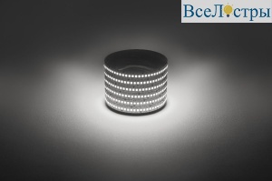 Светодиодная лента Эра 12В 2835 19,2Вт/м 4000K 5м IP20 LS2835-19,2-240-12-4000K-IP20-1 year-5m Б0059907