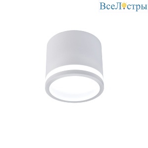 Накладной светильник Favourite Festum 4213-1C